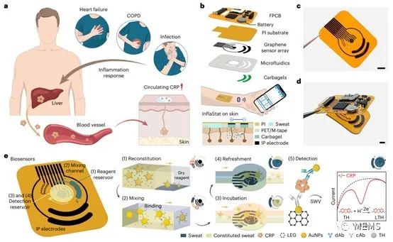 高集成度、微型无线生物电子设备助力实现健康监测 (https://ic.work/) 医疗电子 第3张