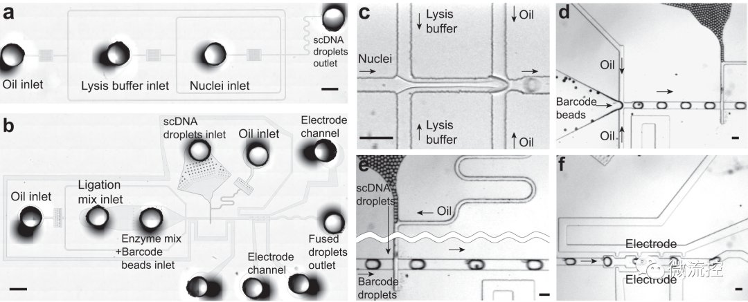 基于液滴微流控的亚硫酸盐测序平台研究 (https://ic.work/) 医疗电子 第2张