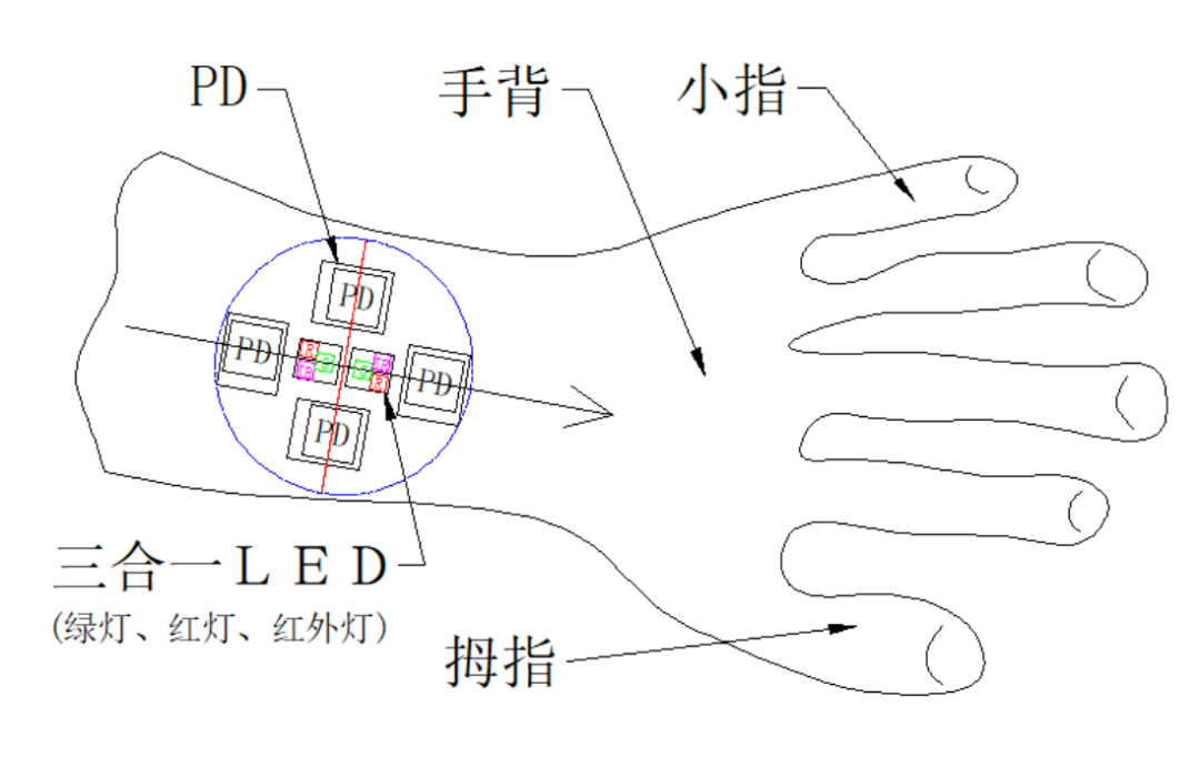 浅谈可穿戴设备PPG方案结构及工艺设计 (https://ic.work/) 智能设备 第2张