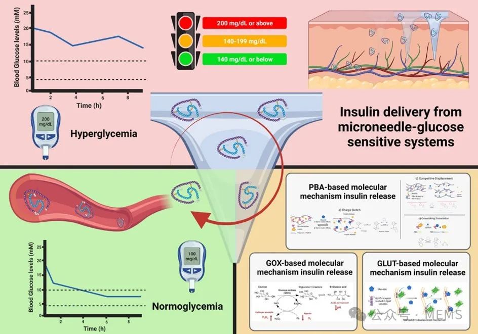 基于葡萄糖响应性微针的胰岛素透皮给药系统研究进展 (https://ic.work/) 医疗电子 第1张