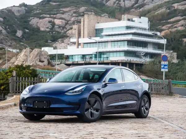2019年全球电动车销量突破200万 特斯拉Models 3再夺冠 (https://ic.work/) 推荐 第4张