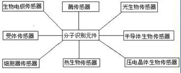 探索生物医学传感器奥秘，助力健康监测与疾病诊断！ (https://ic.work/) 医疗电子 第8张