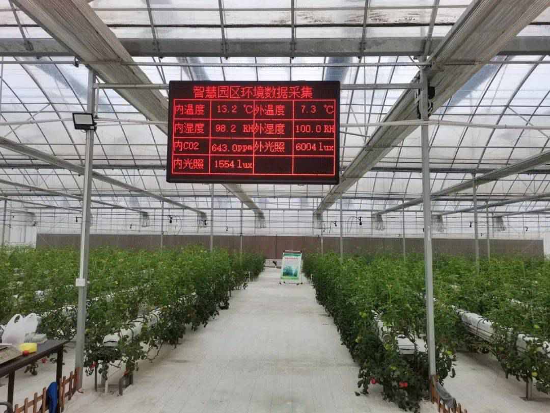 由蜂窝物联倾心打造义乌智慧蔬菜园投入使用，为高效农业提供技术保障 (https://ic.work/) 物联网 第3张