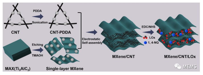 用于可穿戴自充电生物超级电容器的MXene双功能生物阳极设计 (https://ic.work/) 智能设备 第1张