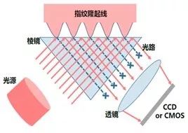 屏下指纹识别技术工作原理 屏下指纹识别技术的难题是什么 (https://ic.work/) 传感器 第1张