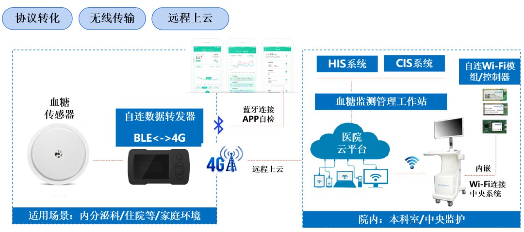 让血糖监测和用药更便捷，自连动态血糖管理解决方案 (https://ic.work/) 物联网 第1张