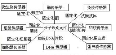 探索生物医学传感器奥秘，助力健康监测与疾病诊断！ (https://ic.work/) 医疗电子 第7张