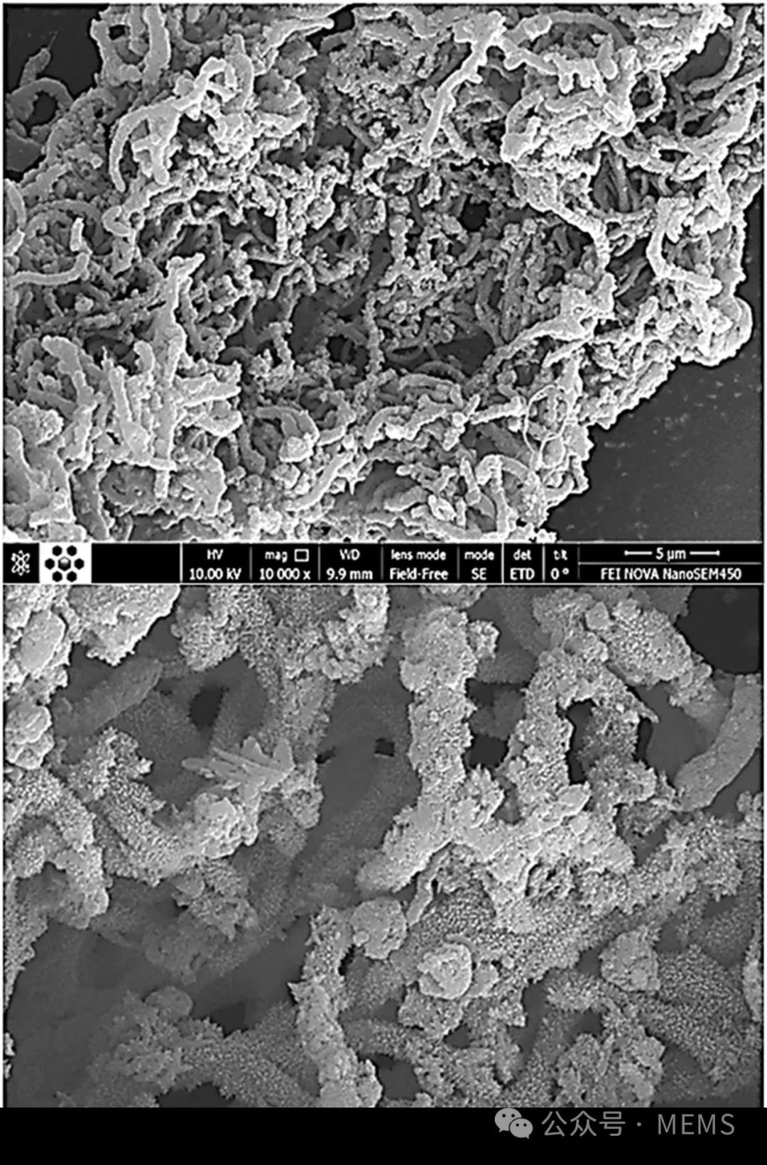 碳纳米管纳米复合传感器的研究进展综述 (https://ic.work/) 传感器 第5张