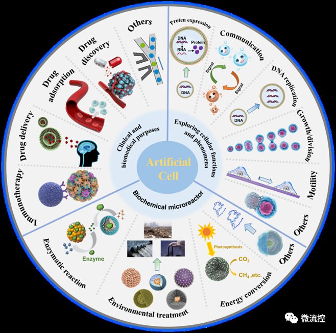 基于微流控技术的人工细胞制备研究 (https://ic.work/) 医疗电子 第3张