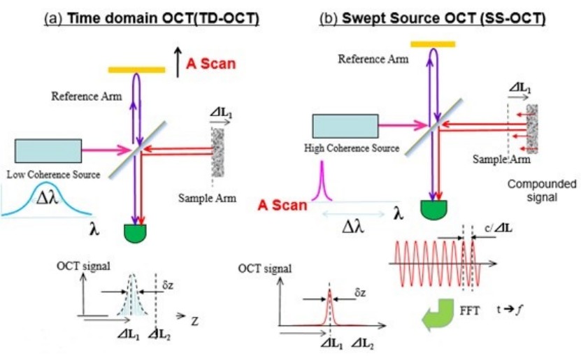 虹科案例 | 使用高速OCT成像技术实时观测激光手术效果 (https://ic.work/) 医疗电子 第10张