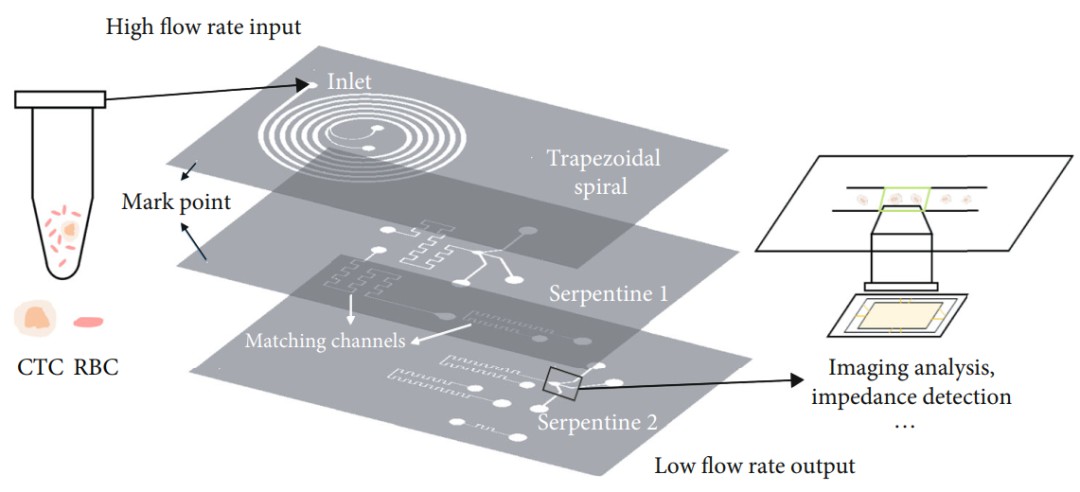利用微流控芯片高通量收集血液中的循环肿瘤细胞检测癌症 (https://ic.work/) 医疗电子 第5张