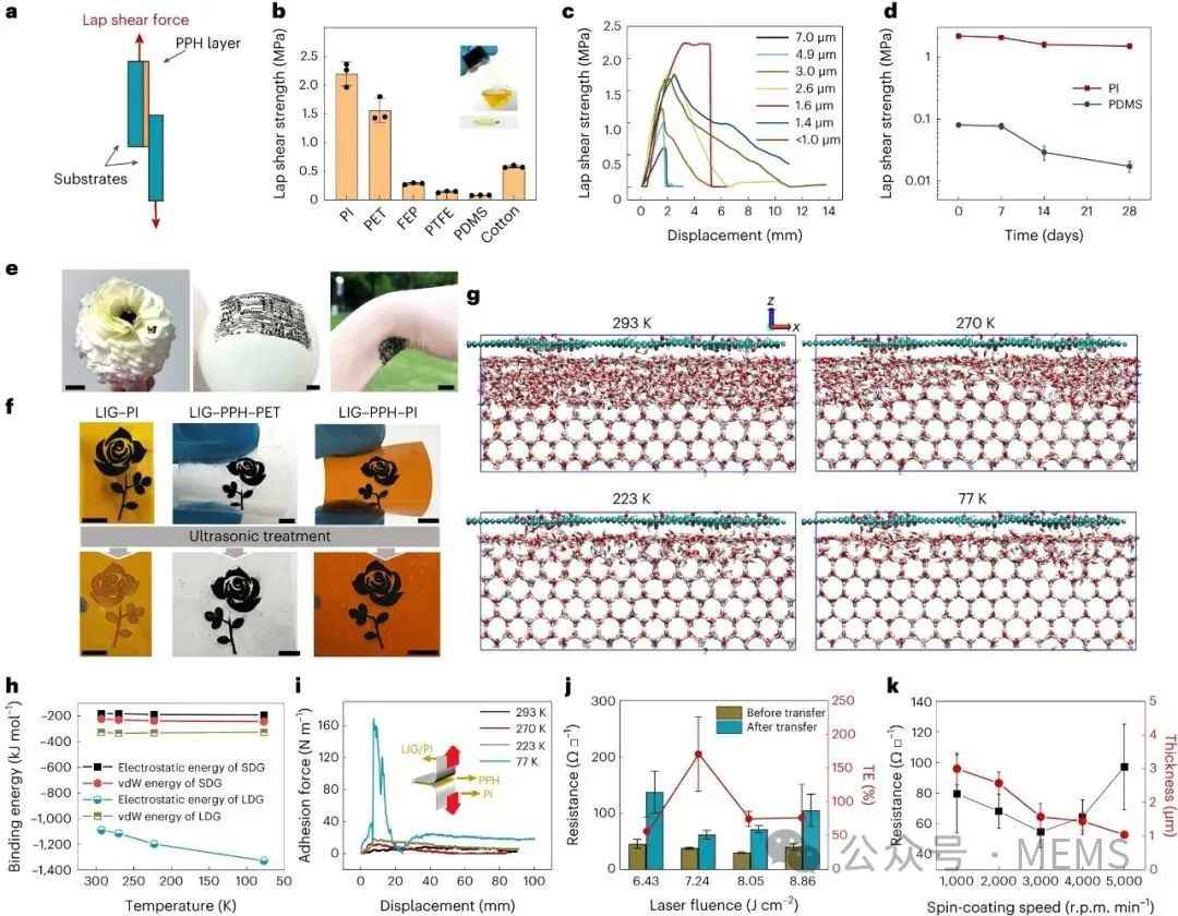 用于多功能表皮电子与心脏贴片的激光诱导可拉伸生物电子界面 (https://ic.work/) 医疗电子 第2张