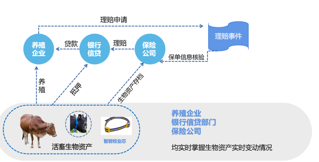 把握牧业智慧转型新机遇，自连数字牧业整体解决方案 (https://ic.work/) 物联网 第3张