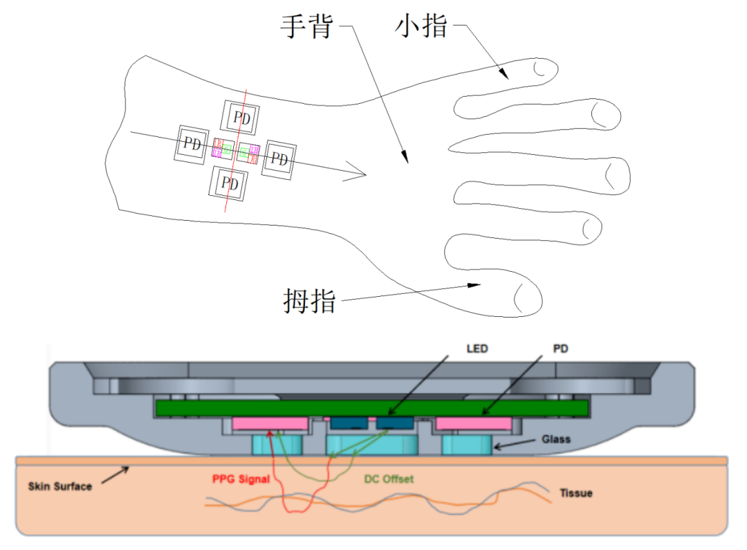 浅谈可穿戴设备PPG方案结构及工艺设计 (https://ic.work/) 智能设备 第1张