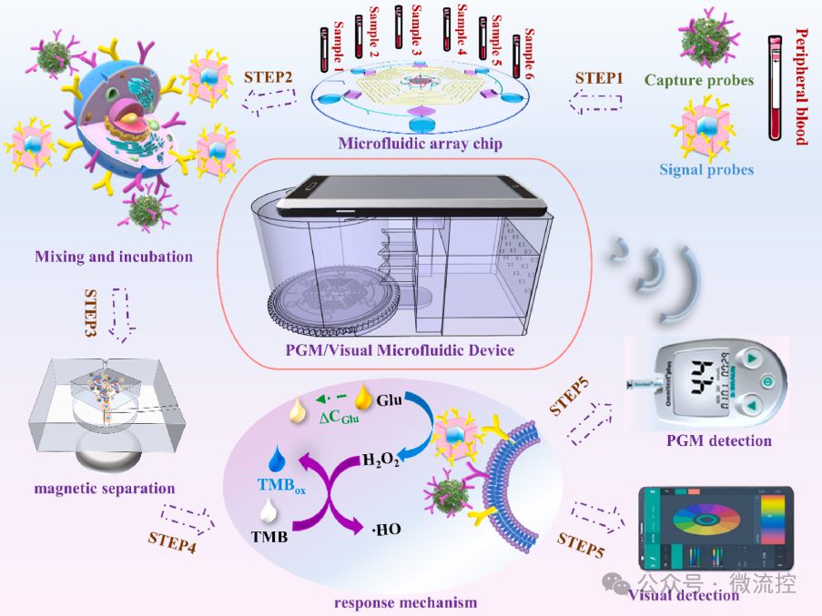 微流控装置融合血糖仪与智能手机，实现嗜铬细胞瘤即时诊断。 (https://ic.work/) 医疗电子 第1张