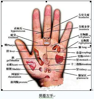 掌纹怎么是被识别的？掌纹识别与指纹识别有什么不同？ (https://ic.work/) 推荐 第1张