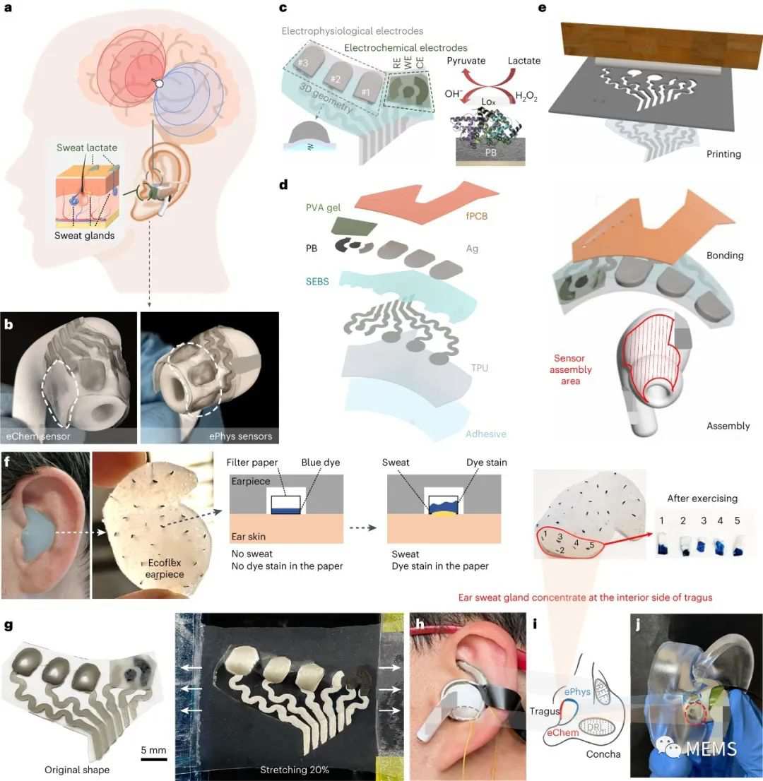 高集成度、微型无线生物电子设备助力实现健康监测 (https://ic.work/) 医疗电子 第4张