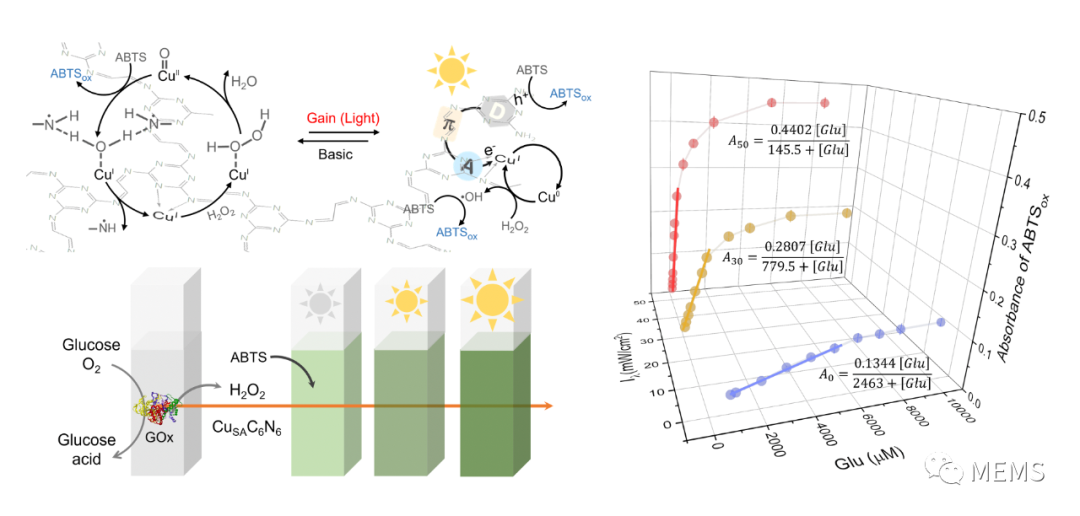 东南大学在氮化碳自适应生物传感方面取得重大突破 (https://ic.work/) 传感器 第1张