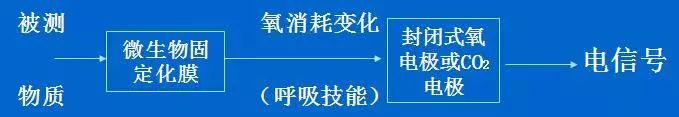 探索生物医学传感器奥秘，助力健康监测与疾病诊断！ (https://ic.work/) 医疗电子 第11张