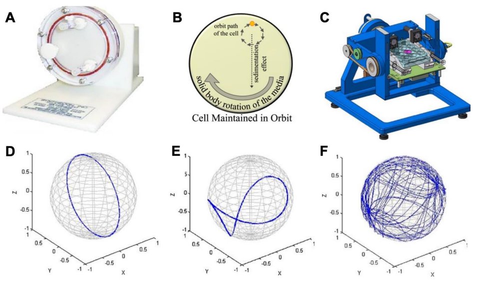 微重力下3D组织结构的生物制造及其在人体病理生理研究中的应用 (https://ic.work/) 医疗电子 第2张