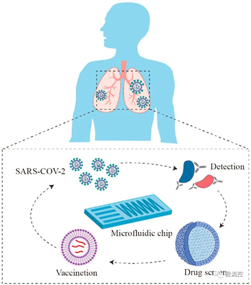 微流控技术在新冠肺炎诊断和药物研发中的应用 (https://ic.work/) 医疗电子 第1张