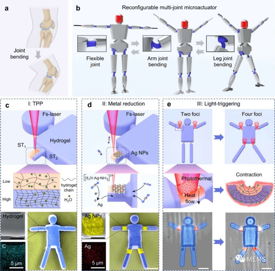 中国科学技术大学开发具有多种变形模式的多关节人形微机械 (https://ic.work/) 虚拟现实 第1张