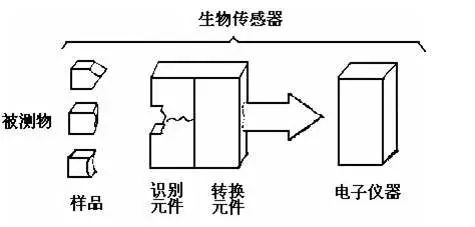 探索生物医学传感器奥秘，助力健康监测与疾病诊断！ (https://ic.work/) 医疗电子 第4张