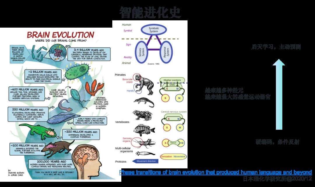 如何从第一性原理看大模型Agent技术原理 (https://ic.work/) AI 人工智能 第43张