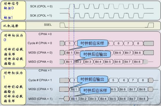 SPI协议驱动设计 (https://ic.work/) 可编辑器件 第3张