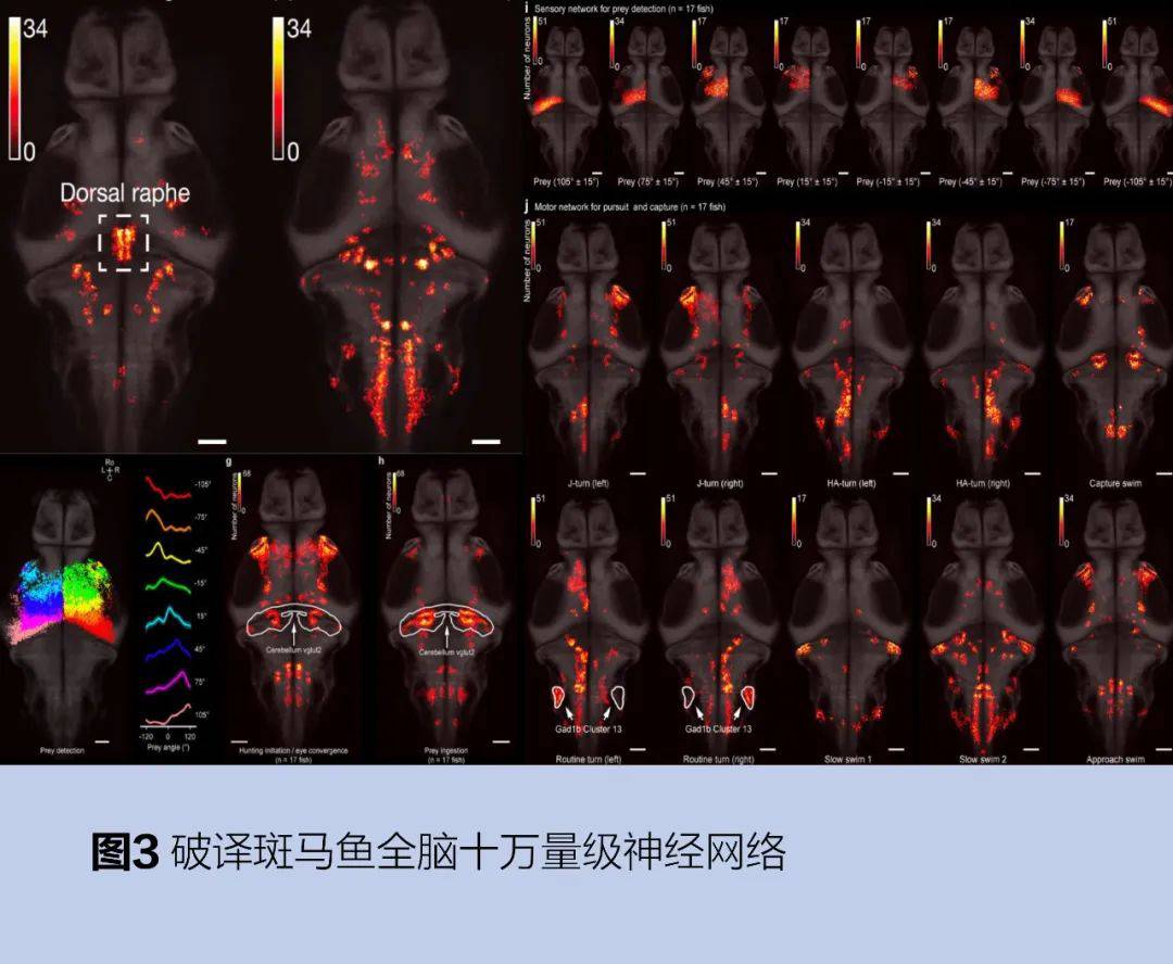 硅光计算芯片：AI芯片国产化的关键突破口 (https://ic.work/) AI 人工智能 第3张