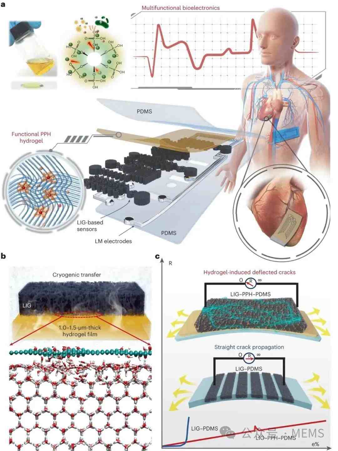 用于多功能表皮电子与心脏贴片的激光诱导可拉伸生物电子界面 (https://ic.work/) 医疗电子 第1张