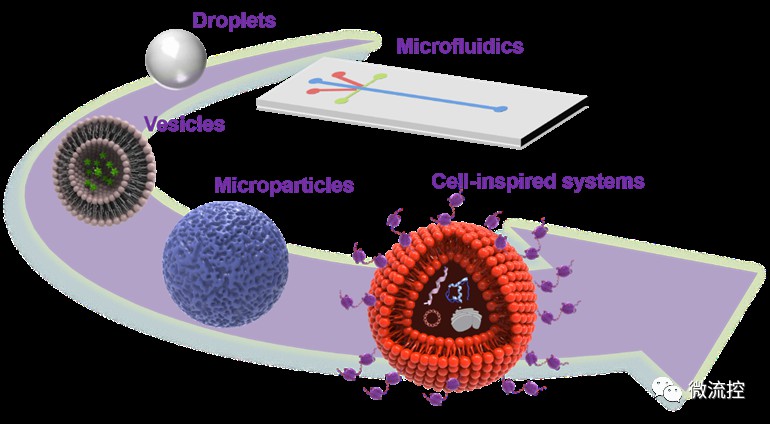 基于微流控技术的人工细胞制备研究 (https://ic.work/) 医疗电子 第2张