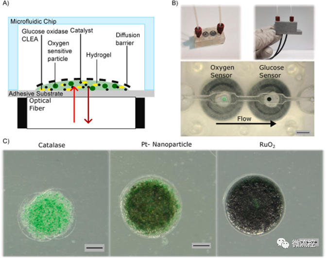 一种用于微流控系统内葡萄糖浓度测量的酶促光学式葡萄糖传感器 (https://ic.work/) 传感器 第1张