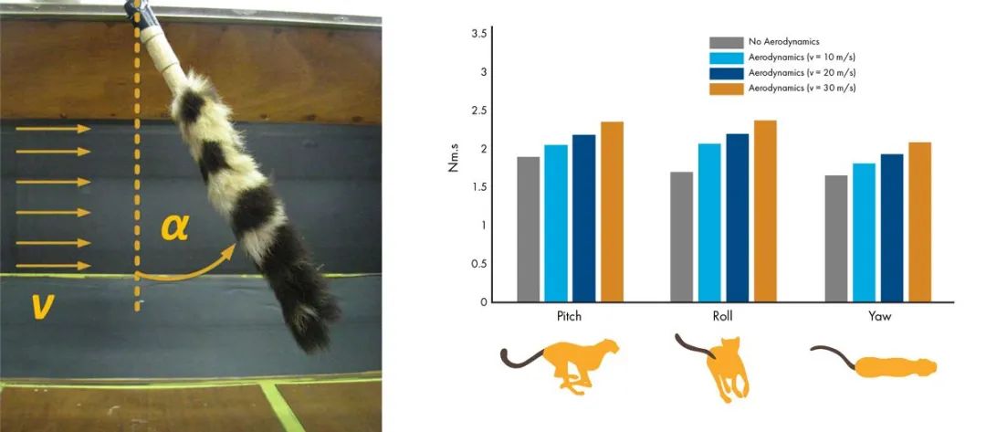 猎豹启发：生物力学与深度学习驱动的机器人革新 (https://ic.work/) AI 人工智能 第1张