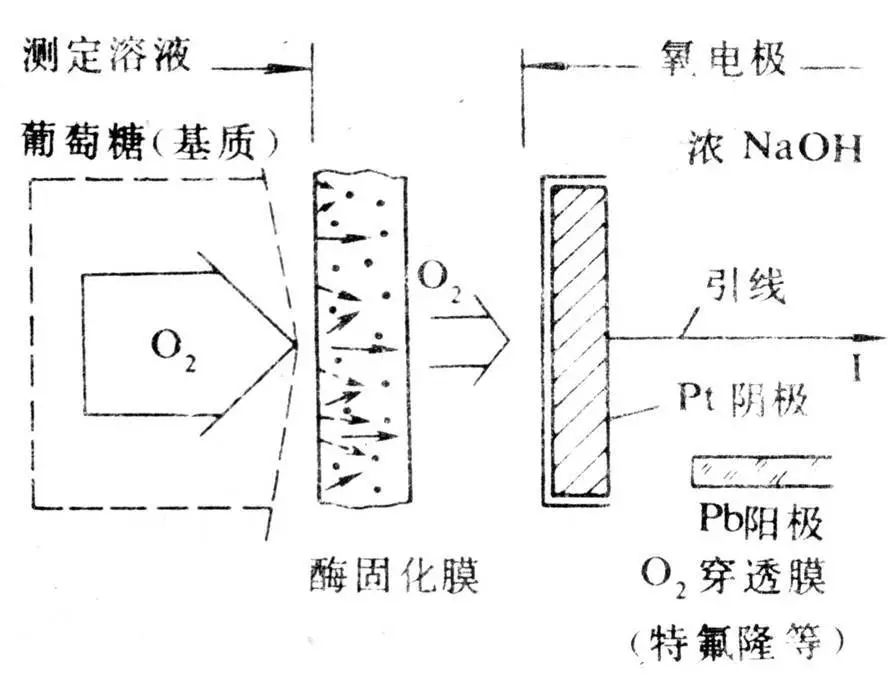 探索生物医学传感器奥秘，助力健康监测与疾病诊断！ (https://ic.work/) 医疗电子 第10张