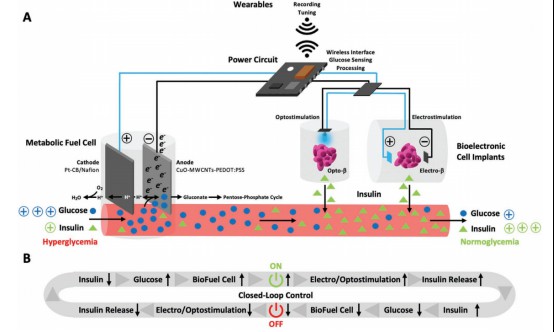 可植入血糖驱动代谢燃料电池用于血糖水平的持续监测和调控 (https://ic.work/) 医疗电子 第1张