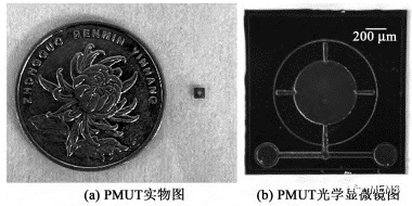 基于压电微机械超声换能器的液体密度测量传感器 (https://ic.work/) 传感器 第5张