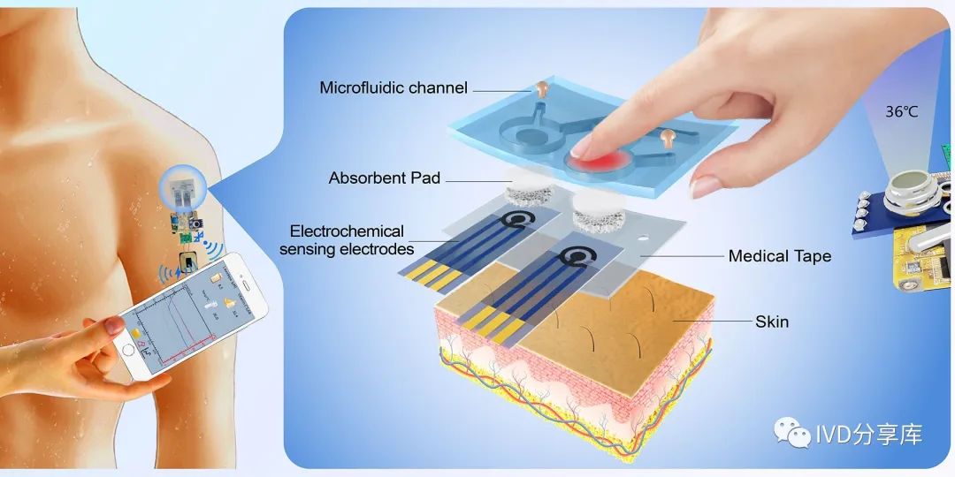 用于人体汗液和体温多功能检测的可穿戴微流控汗液传感系统 (https://ic.work/) 智能设备 第1张