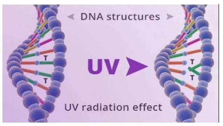 一文掌握UV LED在空净消杀领域的主要应用 (https://ic.work/) 产业洞察 第4张