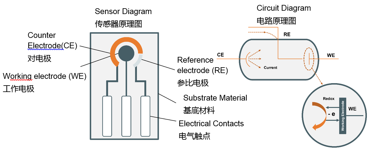 电化学感知技术的新时代 (https://ic.work/) 产业洞察 第2张