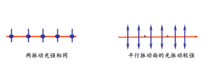 行业知识 | “看清”世界，探秘光的偏振 (https://ic.work/) 技术资料 第8张