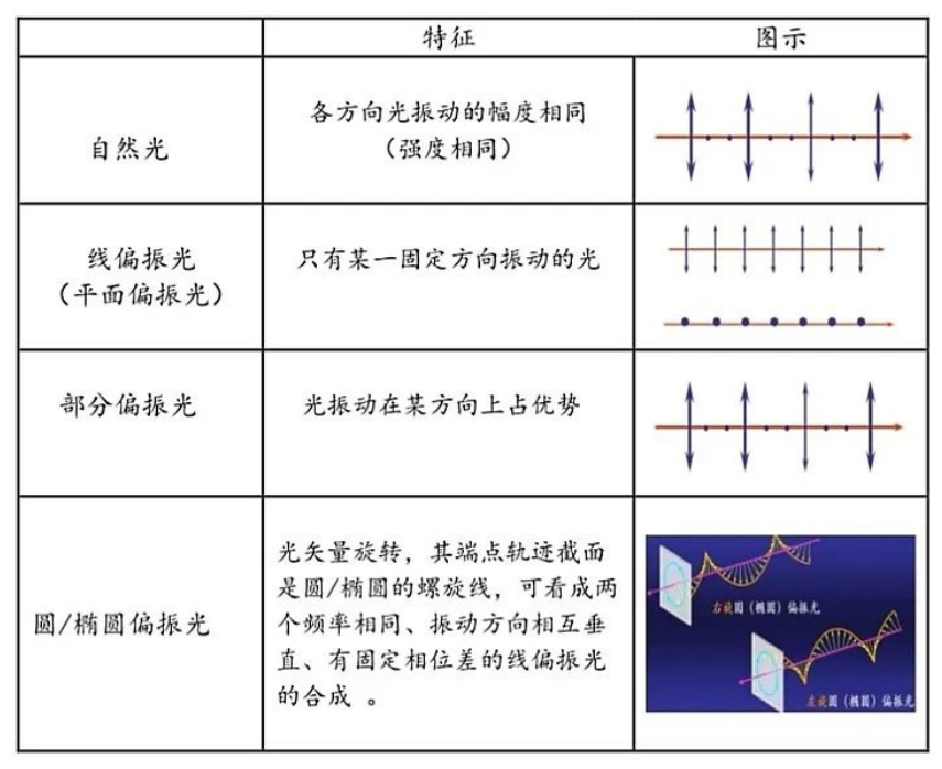 行业知识 | “看清”世界，探秘光的偏振 (https://ic.work/) 技术资料 第9张